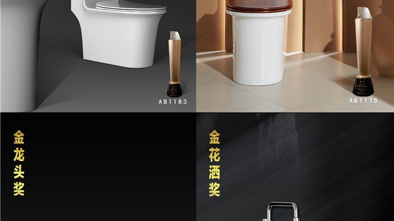 老小区改造，无水箱马桶与普通马桶的“水”密对决**