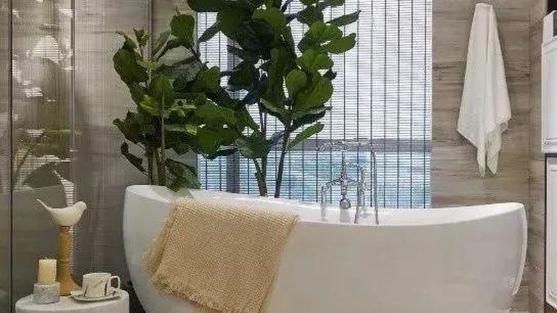 揭秘国内卫浴洁具老牌子的传承与创新